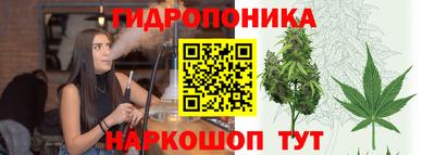 Альфа ПВП Краснознаменск