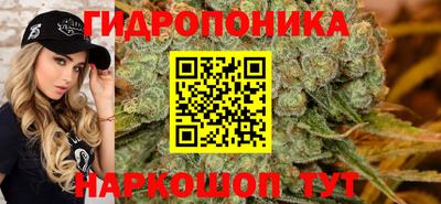 Альфа ПВП Краснознаменск