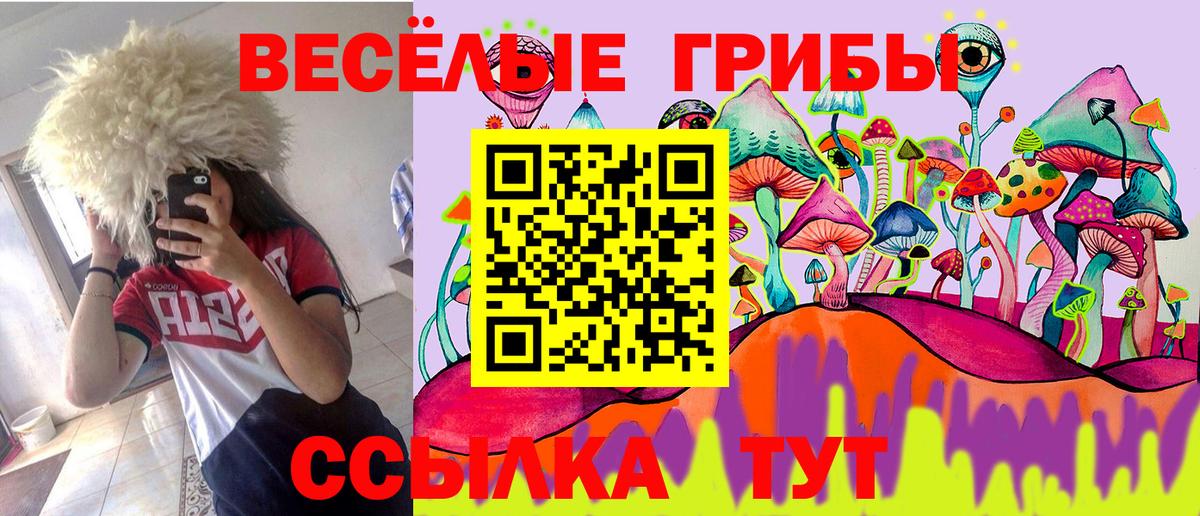 Йошкар-Ола  наркотики  Вход с VPN  Псилоцибиновые грибы Psilocybine cubensis 